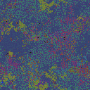 World at epoch 41000