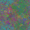 World at epoch 24000