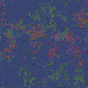 World at epoch 49000