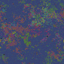 World at epoch 50000