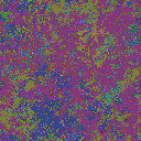 World at epoch 40000