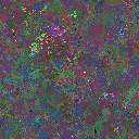 World at epoch 44000