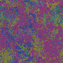 World at epoch 41000