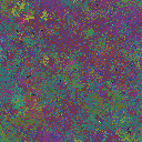 World at epoch 35000
