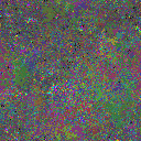 World at epoch 31000