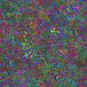 World at epoch 50000