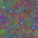 World at epoch 24000