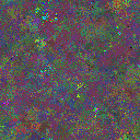 World at epoch 49000