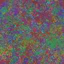 World at epoch 25000