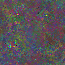 World at epoch 50000
