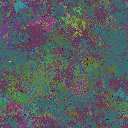 World at epoch 39000