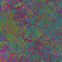 World at epoch 40000