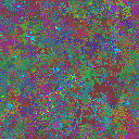 World at epoch 29000