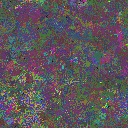 World at epoch 60000