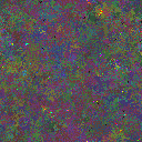 World at epoch 60000