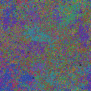 World at epoch 49000