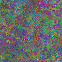 World at epoch 25000