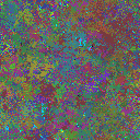 World at epoch 35000