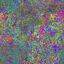 World at epoch 25000