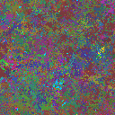 World at epoch 37000