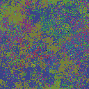 World at epoch 51000