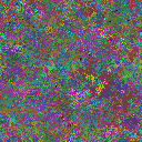 World at epoch 35000