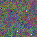 World at epoch 50000