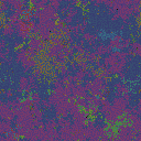 World at epoch 60000