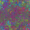 World at epoch 35000
