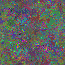 World at epoch 44000