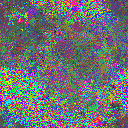 World at epoch 24000