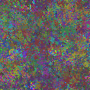 World at epoch 49000