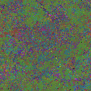 World at epoch 49000