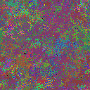 World at epoch 40000