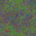 World at epoch 50000