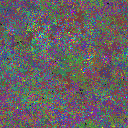 World at epoch 50000