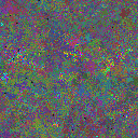 World at epoch 50000