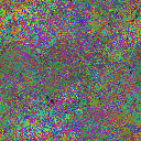 World at epoch 29000