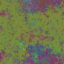 World at epoch 44000