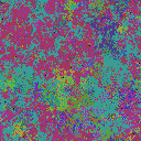 World at epoch 49000