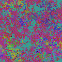 World at epoch 50000