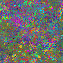 World at epoch 25000