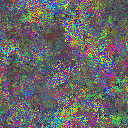 World at epoch 29000