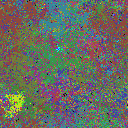 World at epoch 24000