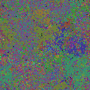 World at epoch 24000