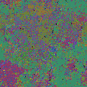 World at epoch 25000