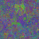 World at epoch 38000