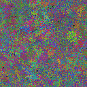 World at epoch 37000
