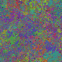 World at epoch 40000