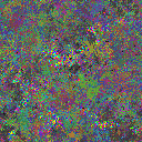 World at epoch 37000